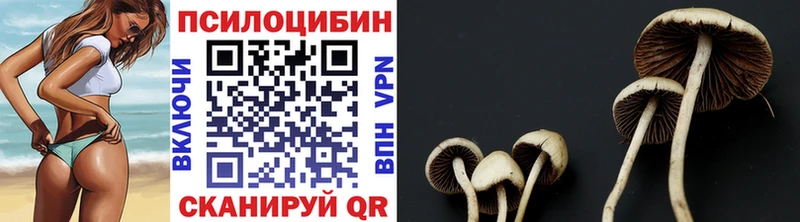 Псилоцибиновые грибы GOLDEN TEACHER  Олёкминск 